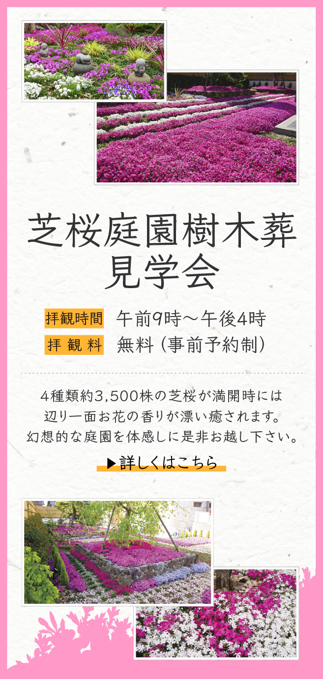 芝桜庭園一般公開のお知らせ